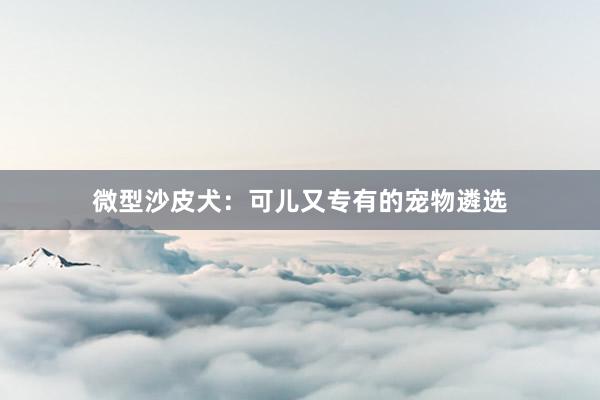 微型沙皮犬:可儿又专有的宠物遴选